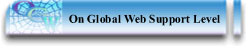 IT Support
